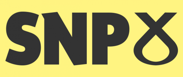 snp-logo-large